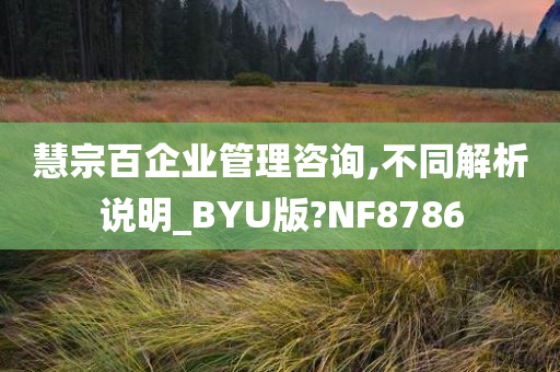 慧宗百企业管理咨询,不同解析说明_BYU版?NF8786