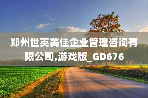 郑州世英美佳企业管理咨询有限公司,游戏版_GD676