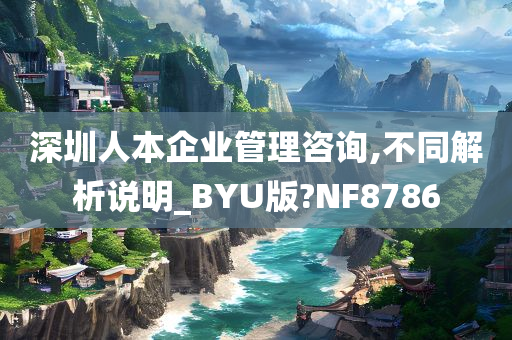 深圳人本企业管理咨询,不同解析说明_BYU版?NF8786