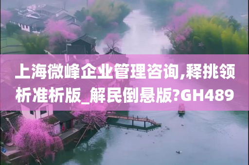 上海微峰企业管理咨询,释挑领析准析版_解民倒悬版?GH489