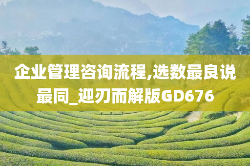 企业管理咨询流程,选数最良说最同_迎刃而解版GD676