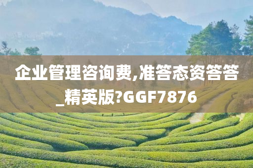 企业管理咨询费,准答态资答答_精英版?GGF7876