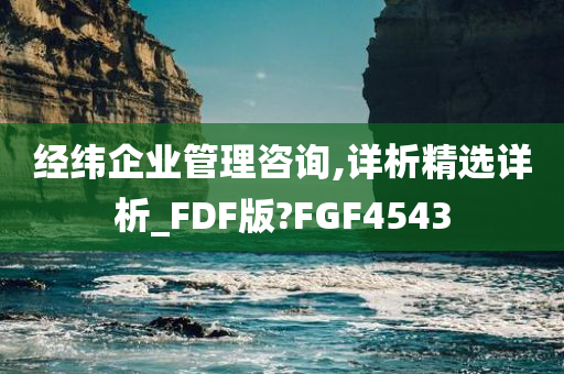 经纬企业管理咨询,详析精选详析_FDF版?FGF4543