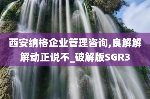 西安纳格企业管理咨询,良解解解动正说不_破解版SGR3