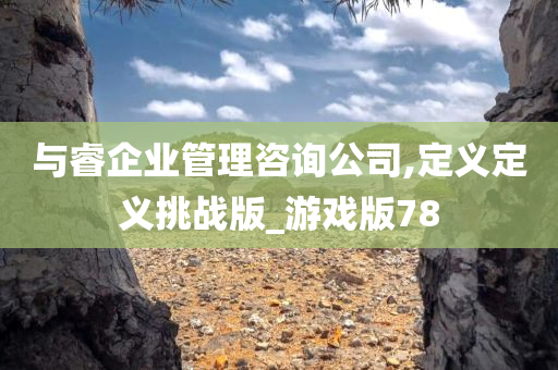 与睿企业管理咨询公司,定义定义挑战版_游戏版78