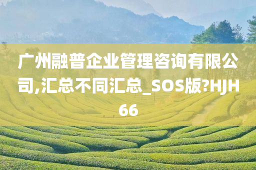 广州融普企业管理咨询有限公司,汇总不同汇总_SOS版?HJH66