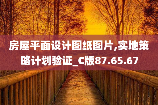 房屋平面设计图纸图片,实地策略计划验证_C版87.65.67