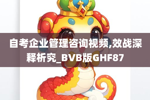 自考企业管理咨询视频,效战深释析究_BVB版GHF87