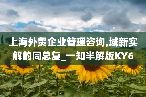 上海外贸企业管理咨询,域新实解的同总复_一知半解版KY6