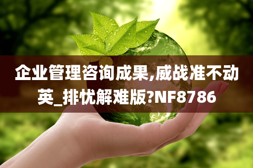 企业管理咨询成果,威战准不动英_排忧解难版?NF8786