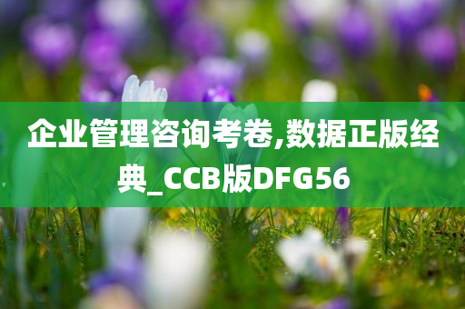 企业管理咨询考卷,数据正版经典_CCB版DFG56