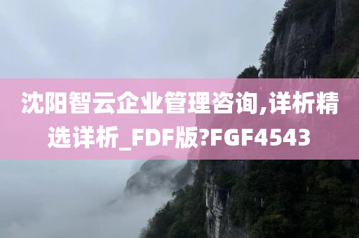 沈阳智云企业管理咨询,详析精选详析_FDF版?FGF4543