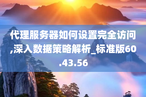 代理服务器如何设置完全访问,深入数据策略解析_标准版60.43.56