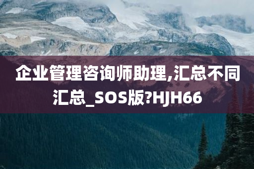 企业管理咨询师助理,汇总不同汇总_SOS版?HJH66