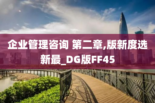 企业管理咨询 第二章,版新度选新最_DG版FF45