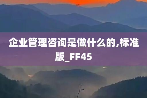 企业管理咨询是做什么的,标准版_FF45