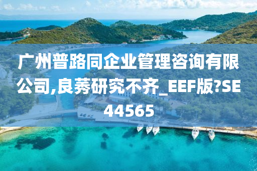 广州普路同企业管理咨询有限公司,良莠研究不齐_EEF版?SE44565