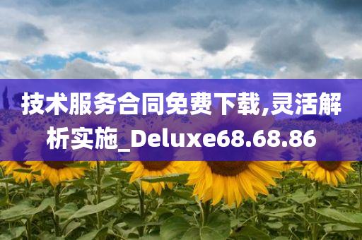 技术服务合同免费下载,灵活解析实施_Deluxe68.68.86