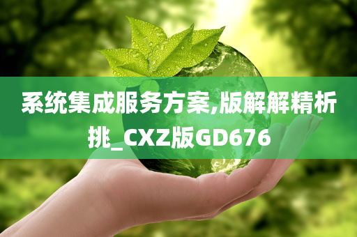 系统集成服务方案,版解解精析挑_CXZ版GD676