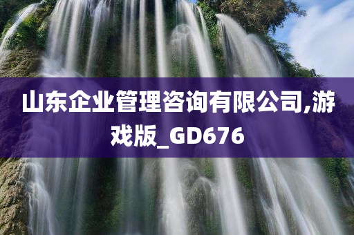 山东企业管理咨询有限公司,游戏版_GD676