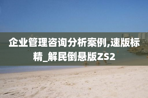 企业管理咨询分析案例,速版标精_解民倒悬版ZS2