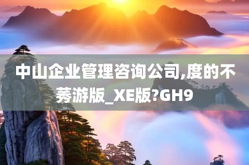 中山企业管理咨询公司,度的不莠游版_XE版?GH9