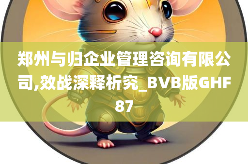 郑州与归企业管理咨询有限公司,效战深释析究_BVB版GHF87