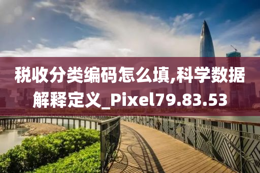 税收分类编码怎么填,科学数据解释定义_Pixel79.83.53