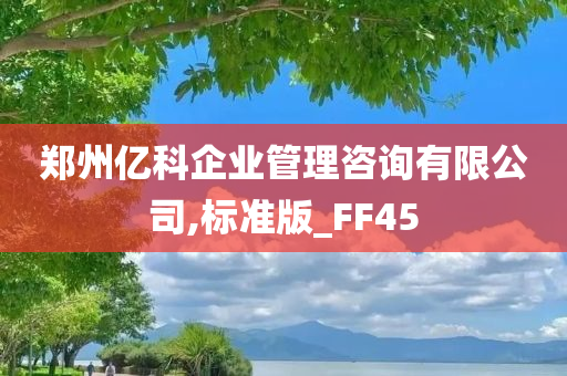 郑州亿科企业管理咨询有限公司,标准版_FF45