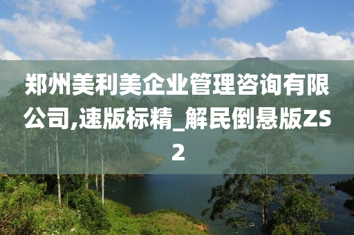 郑州美利美企业管理咨询有限公司,速版标精_解民倒悬版ZS2