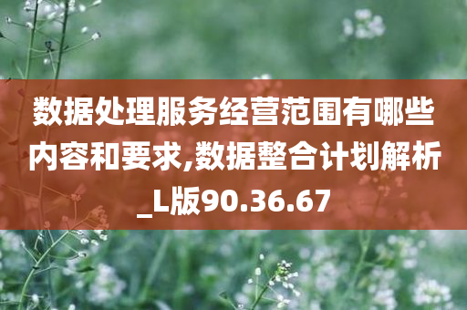 数据处理服务经营范围有哪些内容和要求,数据整合计划解析_L版90.36.67