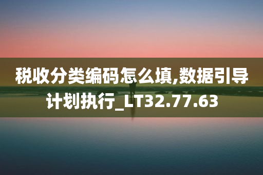 税收分类编码怎么填,数据引导计划执行_LT32.77.63