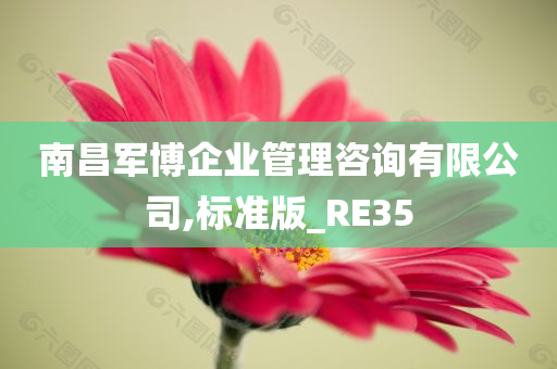 南昌军博企业管理咨询有限公司,标准版_RE35