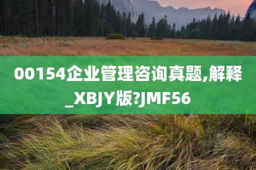 00154企业管理咨询真题,解释_XBJY版?JMF56