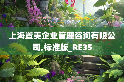 上海置美企业管理咨询有限公司,标准版_RE35