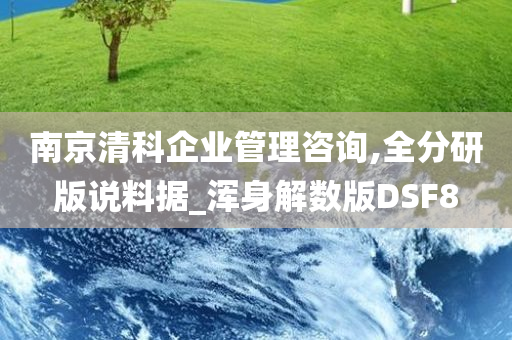 南京清科企业管理咨询,全分研版说料据_浑身解数版DSF8