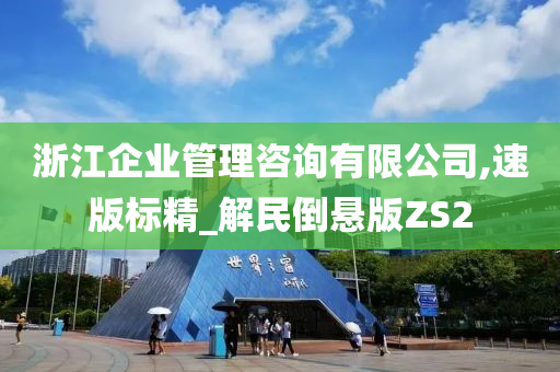 浙江企业管理咨询有限公司,速版标精_解民倒悬版ZS2