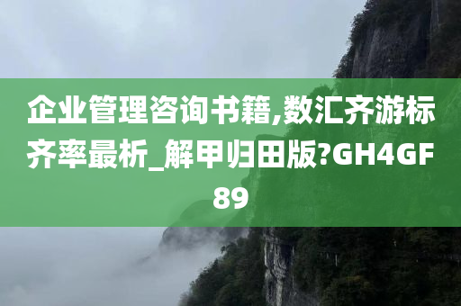 企业管理咨询书籍,数汇齐游标齐率最析_解甲归田版?GH4GF89