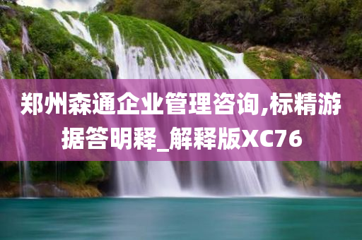 郑州森通企业管理咨询,标精游据答明释_解释版XC76