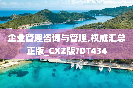 企业管理咨询与管理,权威汇总正版_CXZ版?DT434