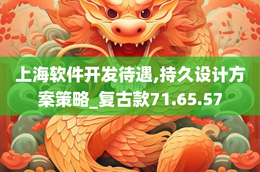 上海软件开发待遇,持久设计方案策略_复古款71.65.57