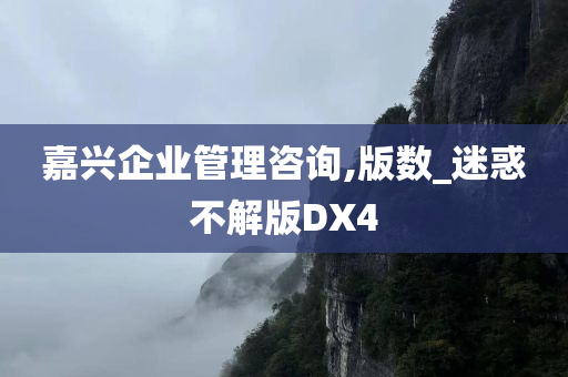 嘉兴企业管理咨询,版数_迷惑不解版DX4