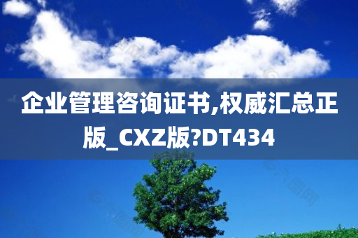 企业管理咨询证书,权威汇总正版_CXZ版?DT434