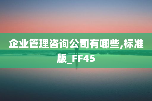 企业管理咨询公司有哪些,标准版_FF45