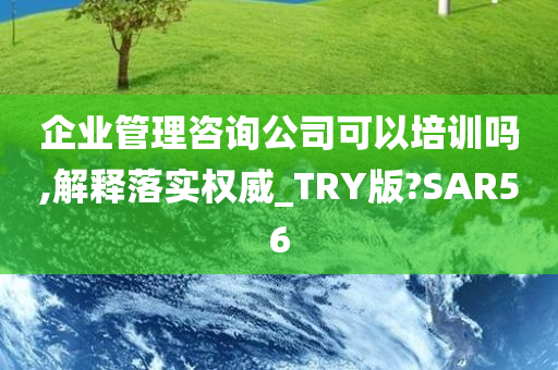 企业管理咨询公司可以培训吗,解释落实权威_TRY版?SAR56