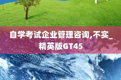 自学考试企业管理咨询,不实_精英版GT45