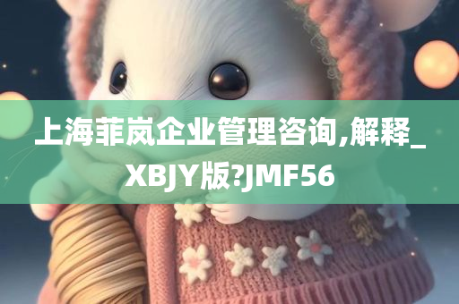 上海菲岚企业管理咨询,解释_XBJY版?JMF56