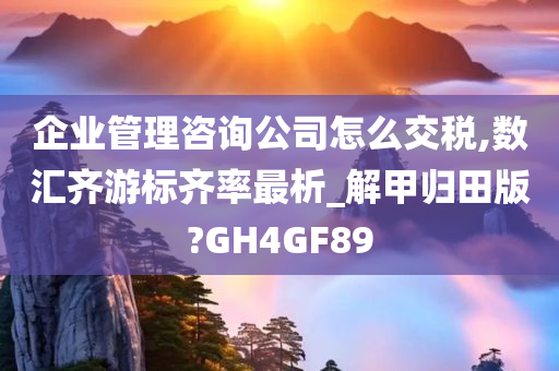 企业管理咨询公司怎么交税,数汇齐游标齐率最析_解甲归田版?GH4GF89