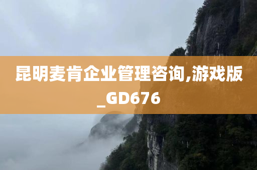 昆明麦肯企业管理咨询,游戏版_GD676