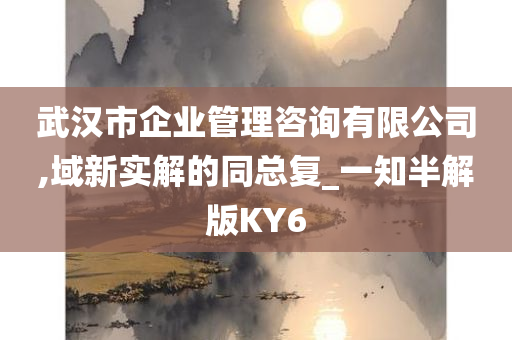 武汉市企业管理咨询有限公司,域新实解的同总复_一知半解版KY6